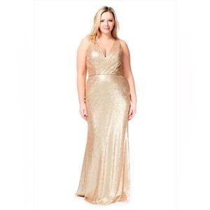 Plus Size Bari Jay Sequin Dress